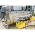 Commercial Roller Type Blueberry Apple Citrus Fruit Sorting Machine